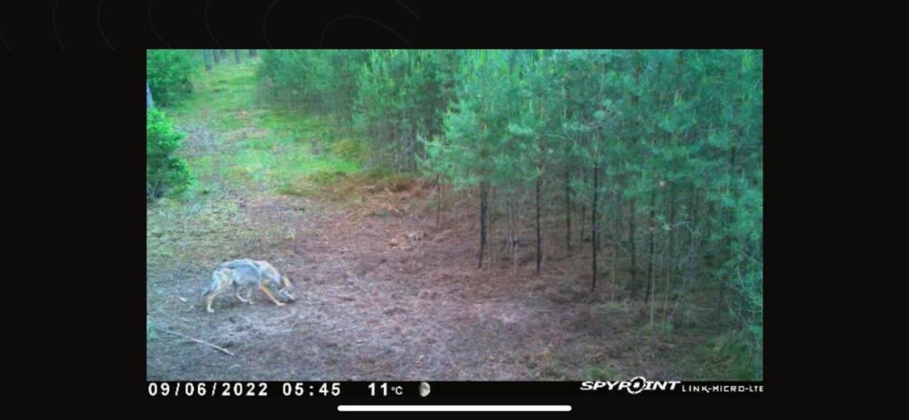Jagd-Angler-Suite-04-Im-Wald-Am-See Kyritz Bagian luar foto